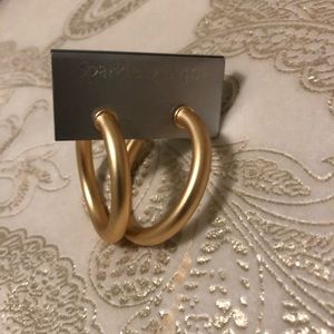 Trendy Gold Hoops💫